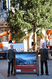 Stadtrat Manuel Pretzl (li.) und Farchants 1. B&uuml;rgermeister Martin Wohlketzetter stellten den Christbaum am 12.11.2018 der Presse vor (&copy;Foto:Martin Schmitz)